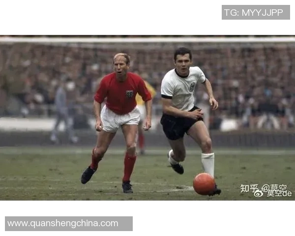 法国17号足球明星的辉煌历程与赛场传奇故事揭秘