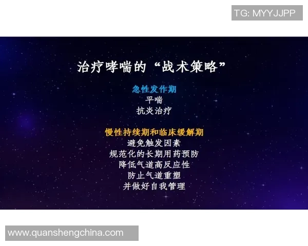 深圳篮球队的战术解析与控制策略深度剖析